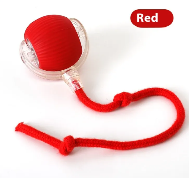 Super Rolling Cat Toy Ball