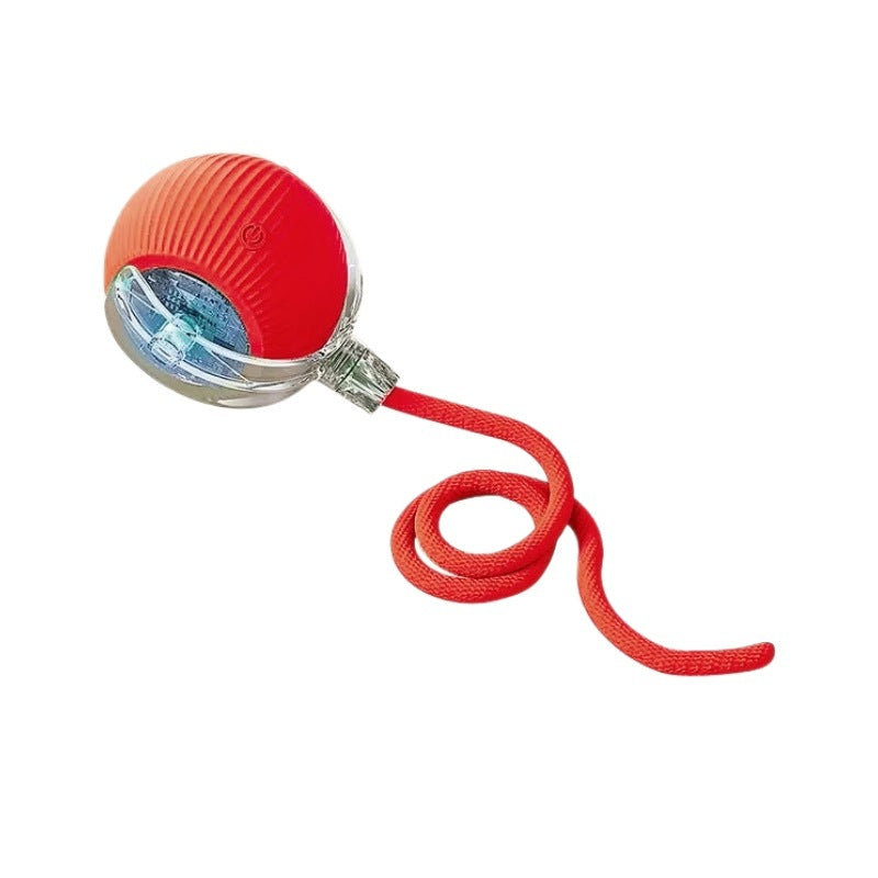 Electric Dog Toy