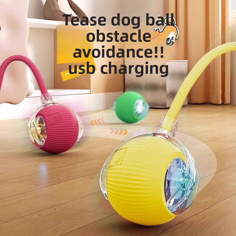 Electric Dog Toy