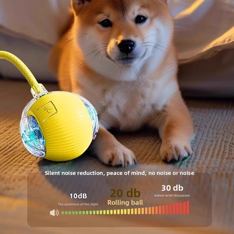 Electric Dog Toy