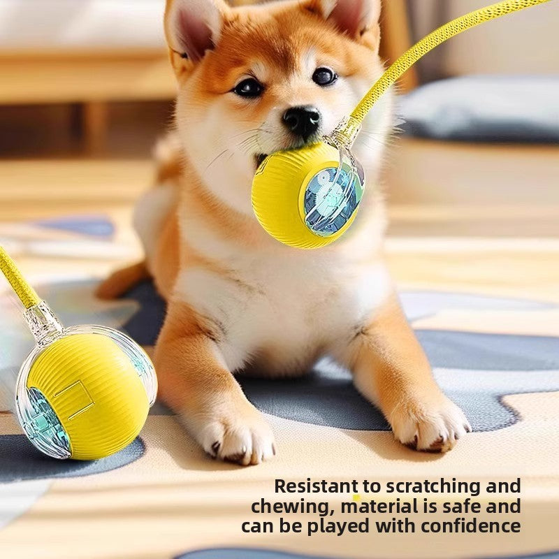 Electric Dog Toy