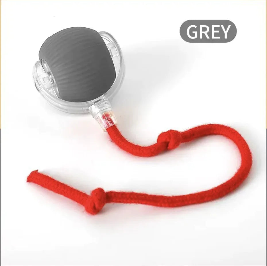Auto-Rolling Plush Cat & Dog Ball Toy