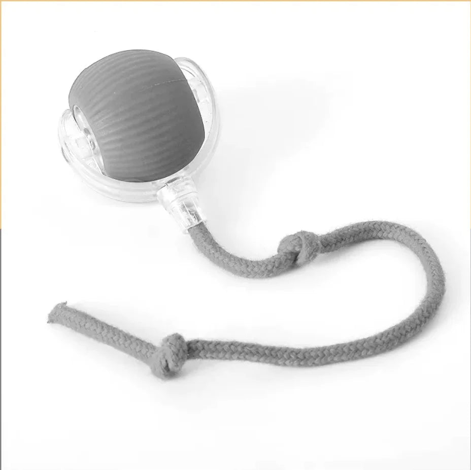 Auto-Rolling Plush Cat & Dog Ball Toy